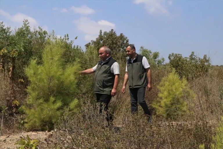 adanada 1175000 fidan dikimi Mt1BpVxv