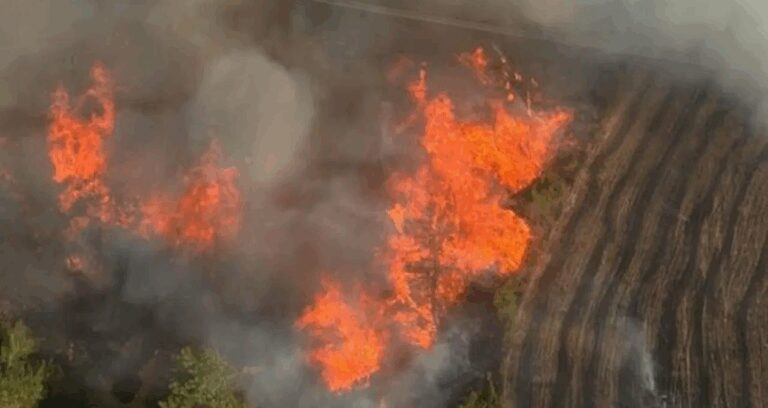 adananin imamoglu ilcesindeki yangin kontrol altina alindi GCW7gwIG
