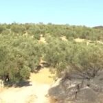 alevler her yeri sardi orasi hic etkilenmedi canakkalede akillara durgunluk veren goruntu eYxDaWgd