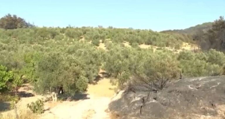 alevler her yeri sardi orasi hic etkilenmedi canakkalede akillara durgunluk veren goruntu eYxDaWgd