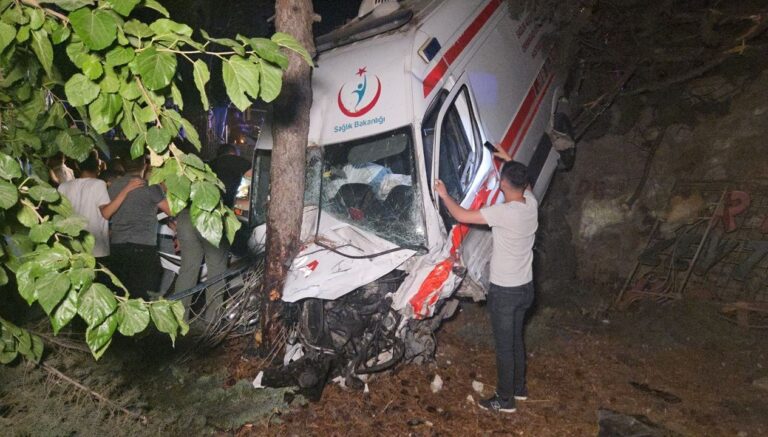 ambulans kamyonetle carpisip bahceye uctu 1 olu 5 yarali xsXcTIJ9