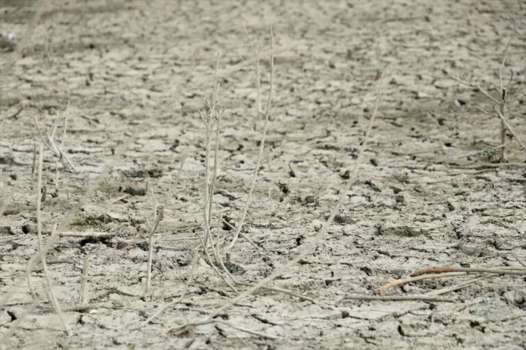 biyikali goletinde kuraklik sorunu MHbKi3gY