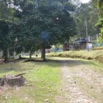 bu koye giden bir gecede milyoner oluyor VS81JudR