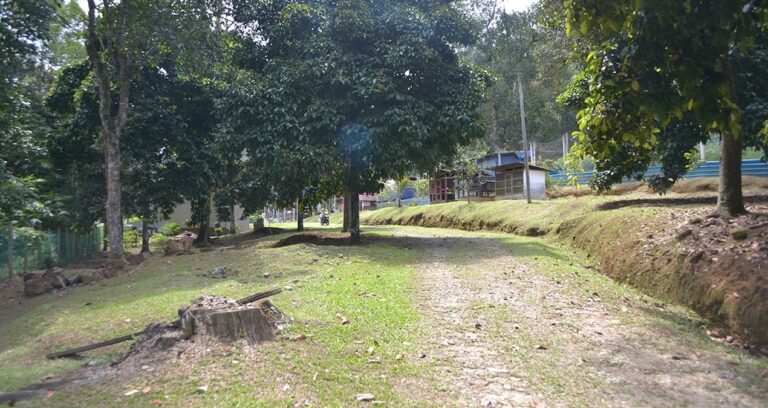 bu koye giden bir gecede milyoner oluyor VS81JudR