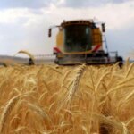 cks basvurulari 1 eylulde basliyor XkZRVSJ9