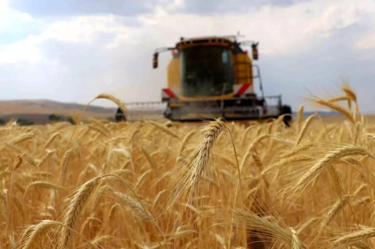 cks basvurulari 1 eylulde basliyor XkZRVSJ9