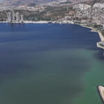 izmir korfezinde feci goruntu baliklar olmeye basladi VhupQOUp