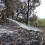 izmitte agaclik alanda yangin QlXSEVI2