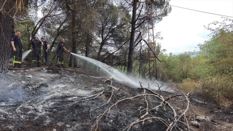 izmitte agaclik alanda yangin QlXSEVI2