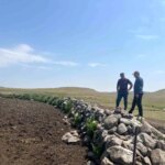 karsta sap hastaligiyla mucadele DcaBYMVE