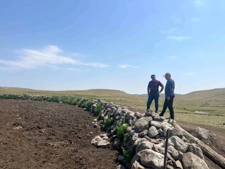 karsta sap hastaligiyla mucadele DcaBYMVE