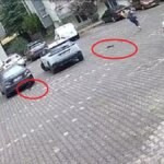 kedilerle komik kovalamaca cgEqsuH6