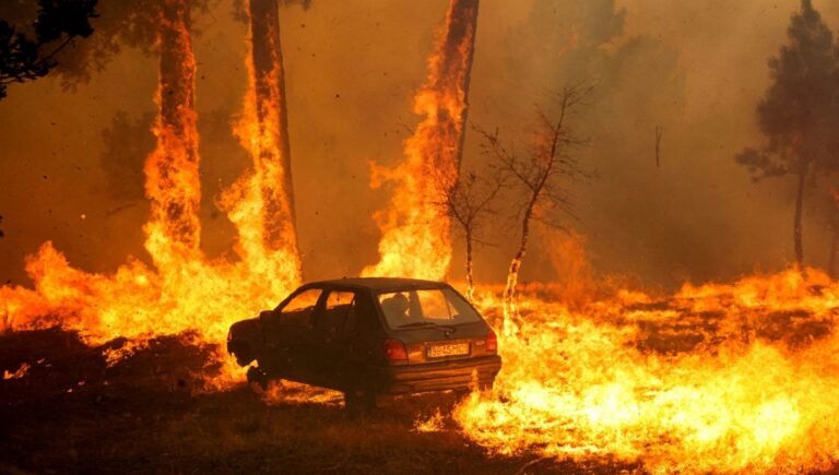 portekizde ormanlar yaniyor 1 kisi hayatini kaybetti eLej5bih