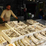 balikci palamuttan umudunu kesti hamsi ve istavrit ile teselli buluyor U3yBryPV