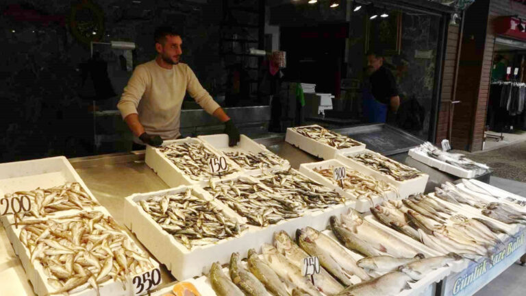 balikci palamuttan umudunu kesti hamsi ve istavrit ile teselli buluyor U3yBryPV