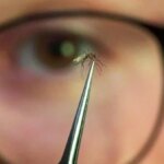 cinde yayilmaya baslayan salgin dunyayi endiselendiriyor Z7NfjSyn