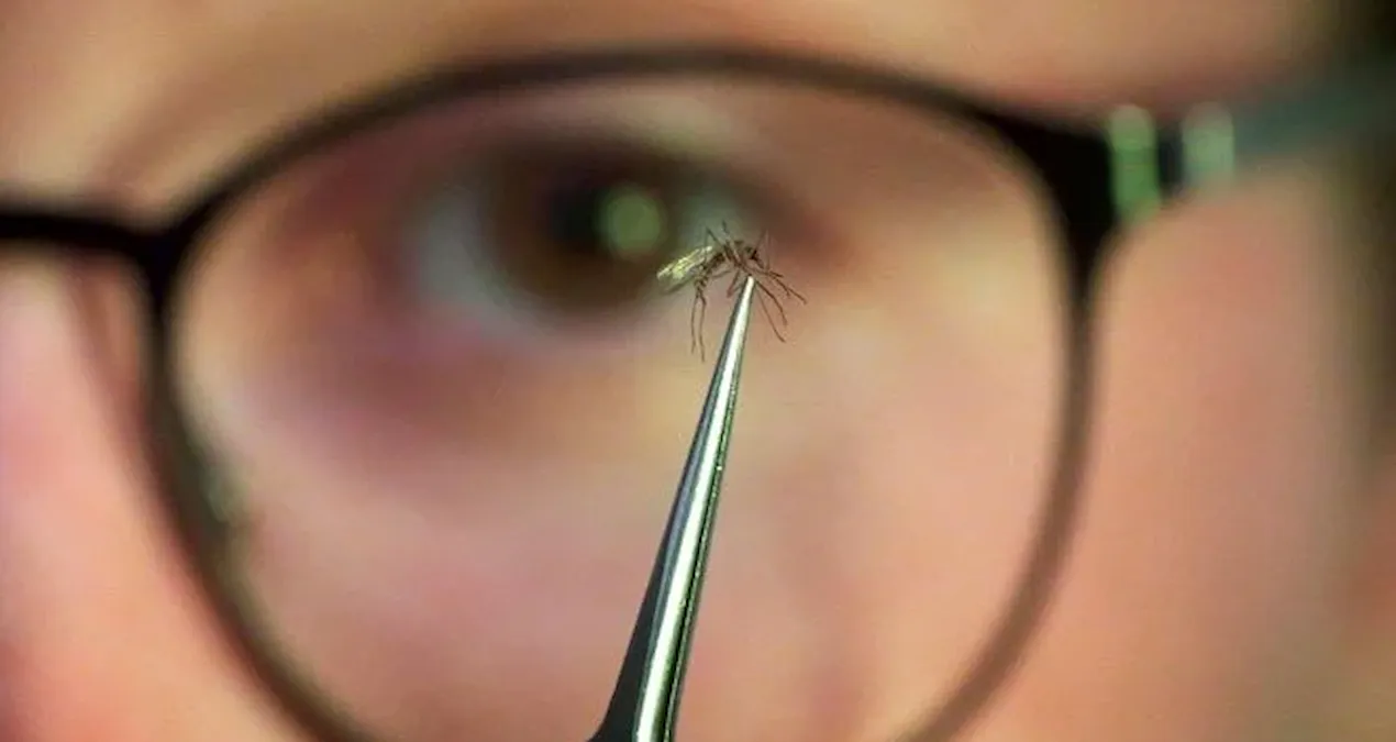 cinde yayilmaya baslayan salgin dunyayi endiselendiriyor Z7NfjSyn