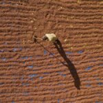 findik ureticileri sebinkarahisari tercih ediyor r7KFd3lV