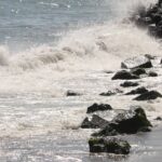 tekirdagda deniz ulasimina poyraz engeli sVCBS1X2