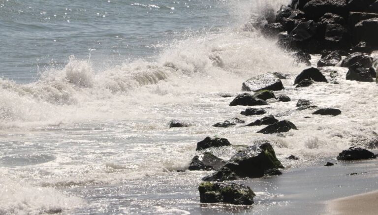 tekirdagda deniz ulasimina poyraz engeli sVCBS1X2