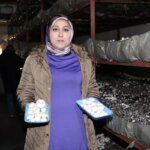 kadin girisimci mantar uretiyor MUqWXeFV.jpg