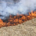 tasovada aniz yangini sonduruldu QGhpVQ1x