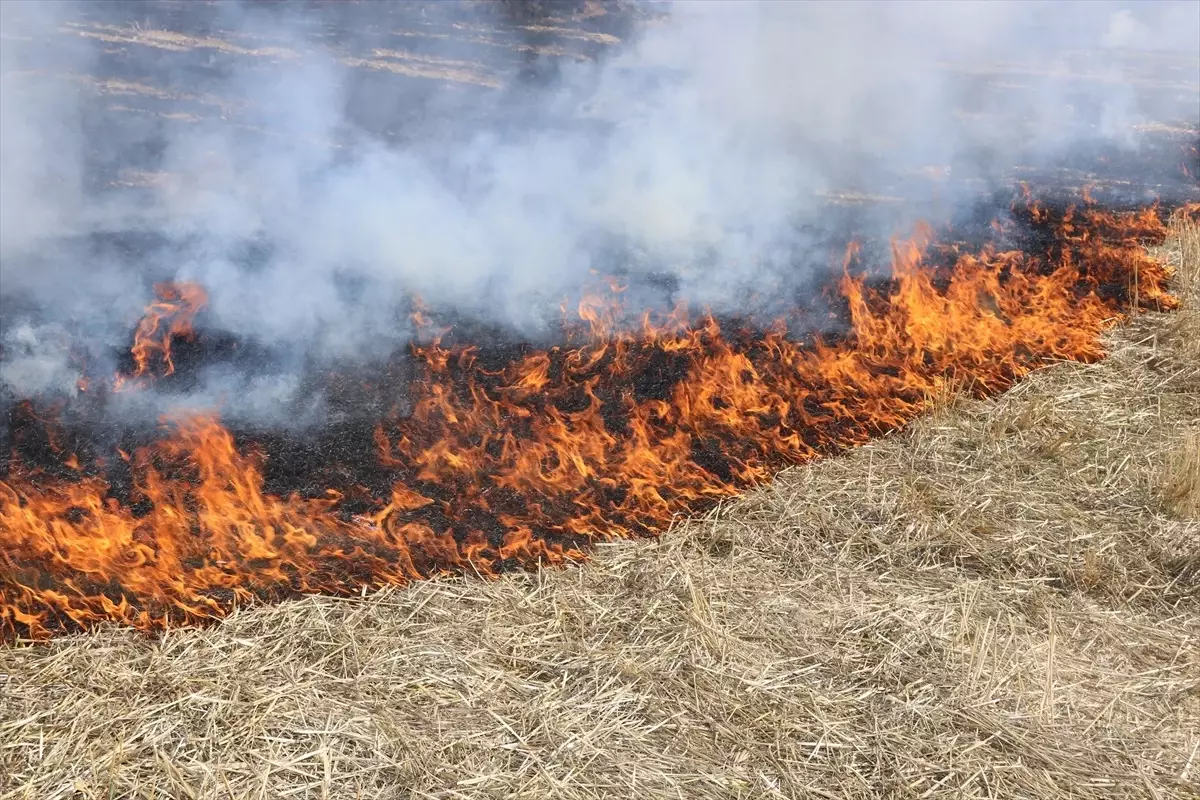 tasovada aniz yangini sonduruldu QGhpVQ1x