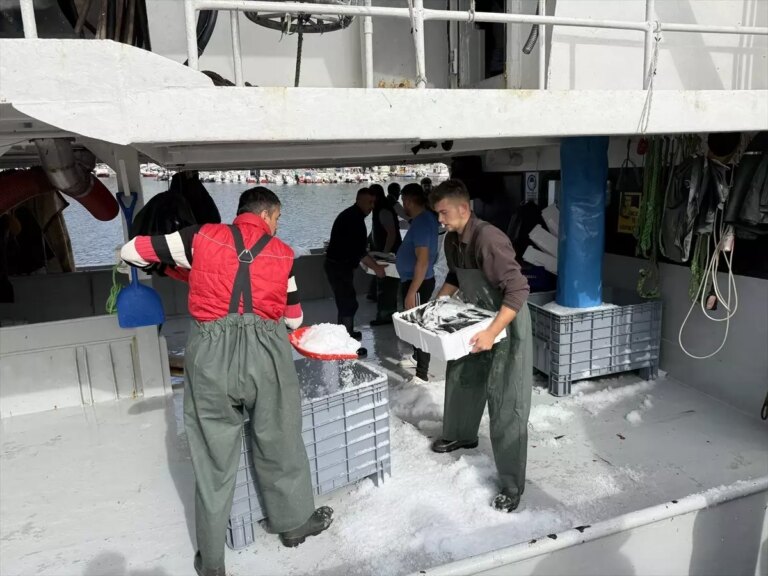 tekirdagli balikcilar istavritle dolu donuyor t42CZdIs