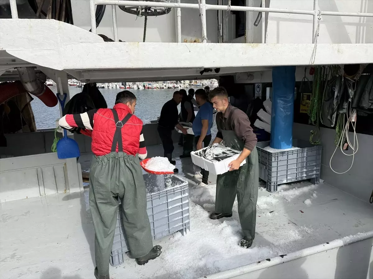 tekirdagli balikcilar istavritle dolu donuyor t42CZdIs