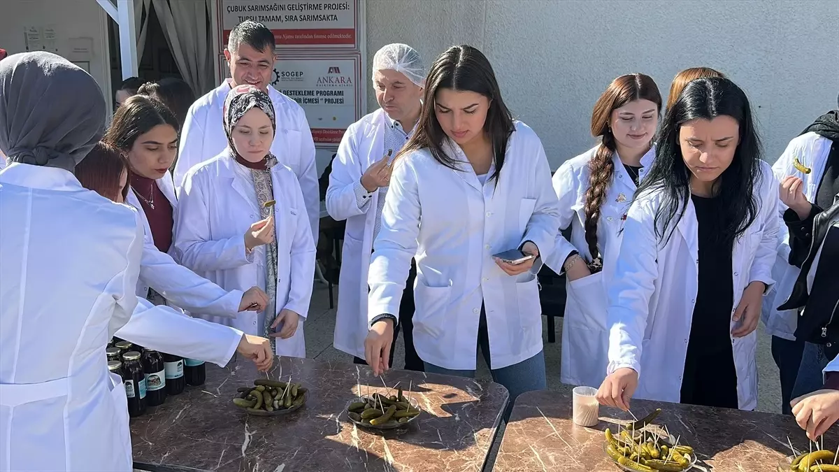 universite ogrencileri cubuk tursu atolyesini ziyaret etti EnkISGYJ