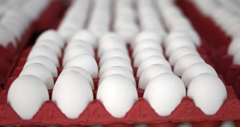 yumurtaya zam gelecek mi en yetkili isim acikladi atUs6UXw.jpg