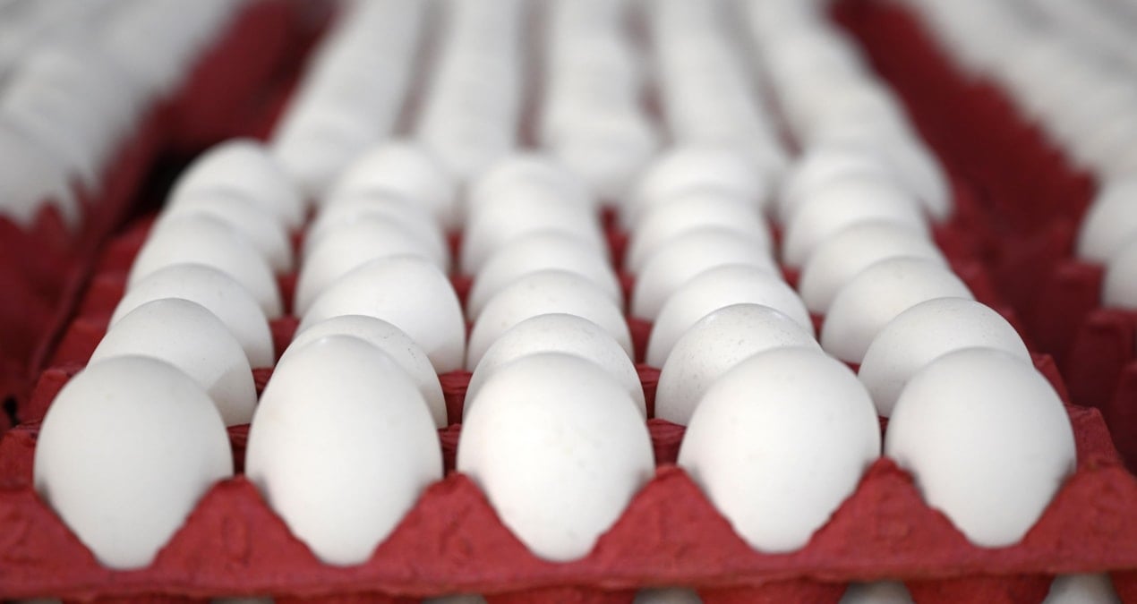 yumurtaya zam gelecek mi en yetkili isim acikladi atUs6UXw.jpg