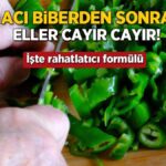 aci biber sonrasi eller cayir cayir yaniyor iste rahatlatici formulu mAfY56cF.jpg