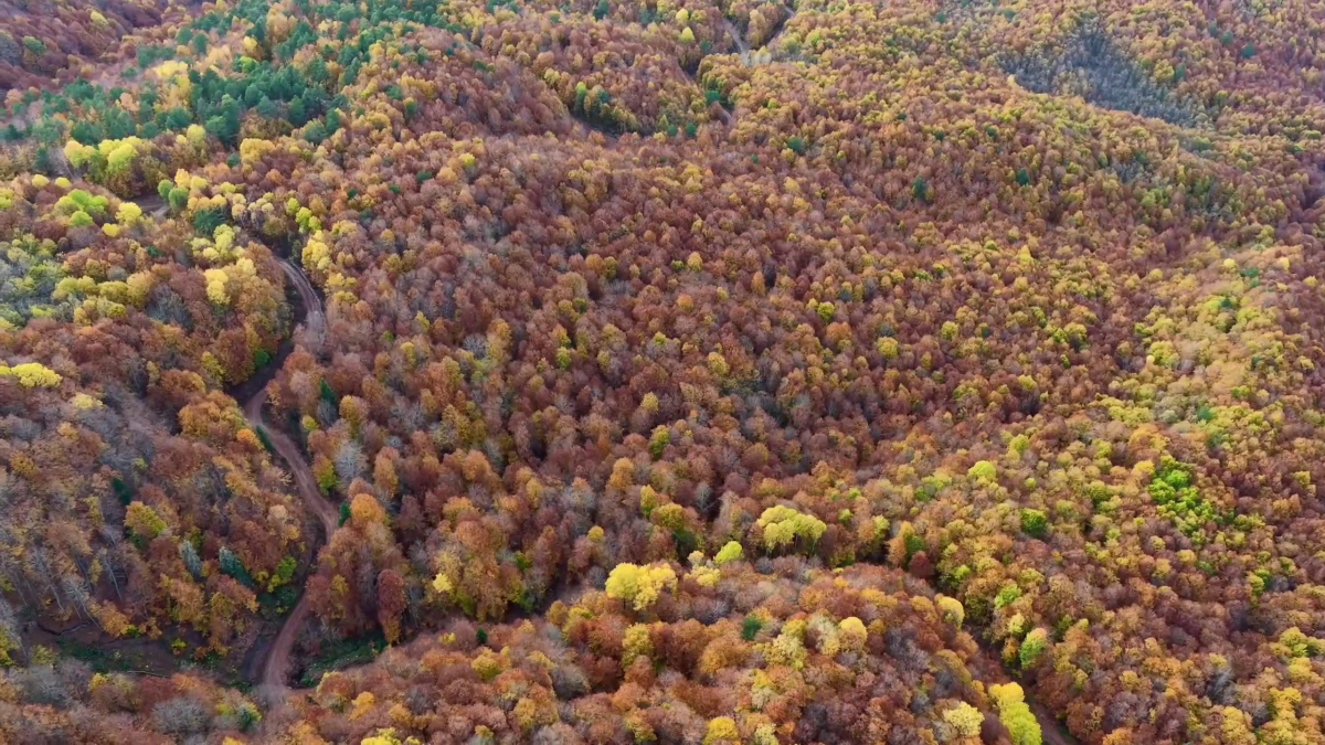bolu mengende sonbahar guzelligi 9Z2udgAU.jpg