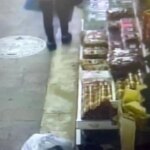 zonguldakta ceviz hirsizligi qDIAgncX.jpg