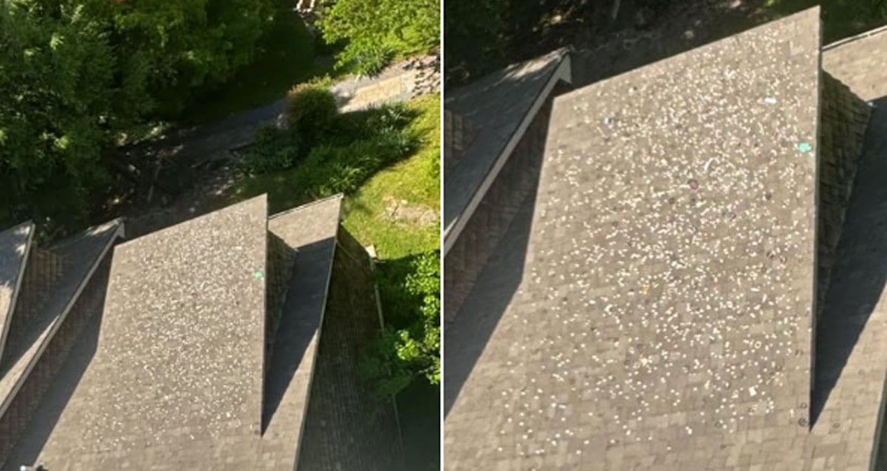 Evinin üstünden geçen hat sayesinde zengin oldu: Çatısına gökten para yağıyor