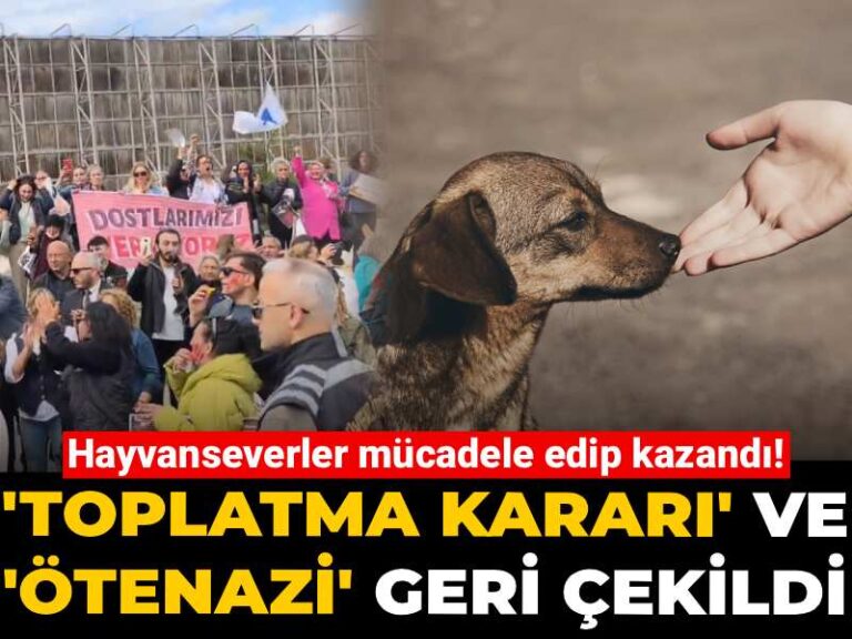 hayvanseverler-mucadele-edip-kazandi-toplatma-karari-ve-otenazi-geri-cekildi-8rvLqkhv