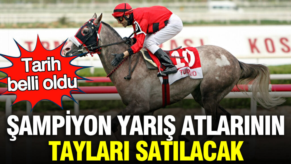 sampiyon-yaris-atlarinin-taylari-satilacak-tarih-belli-oldu-KPX9WRPZ